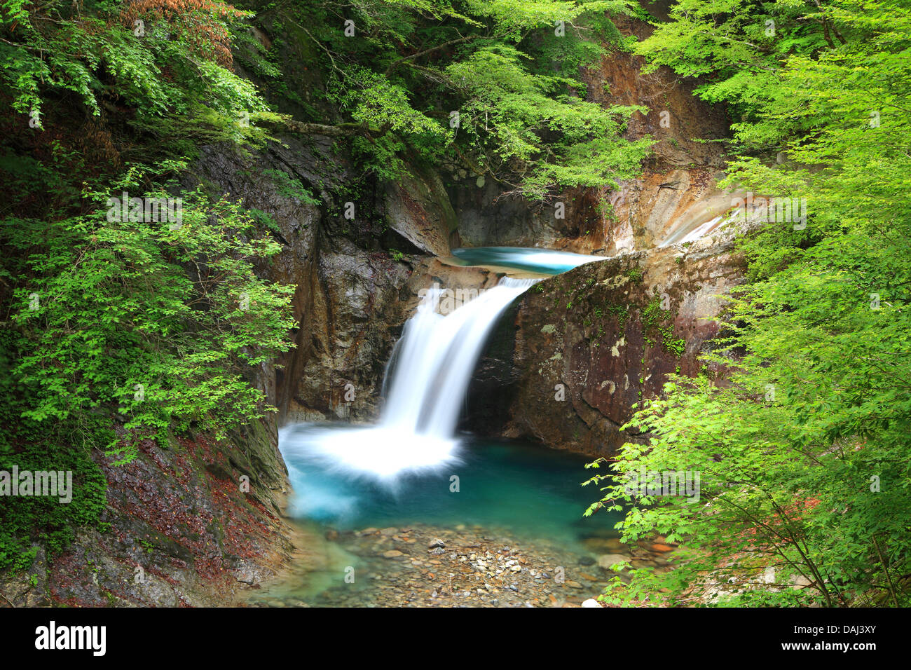 Fresco verde e cascata, Nishizawa Valley, Yamanashi, Giappone Foto Stock