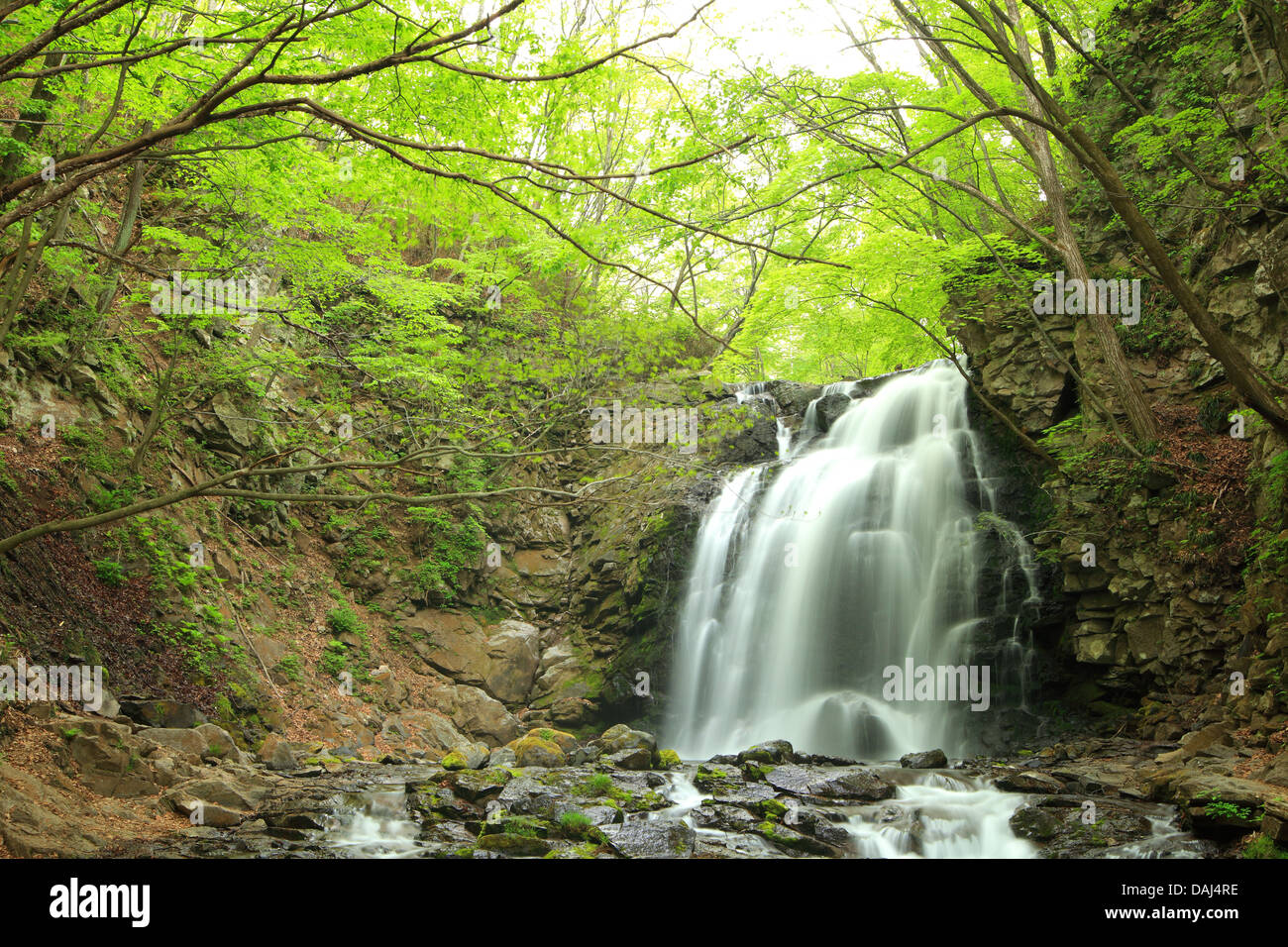 Cascata di fresco verde, Nome è Asamaootaki, Gunma, Giappone Foto Stock
