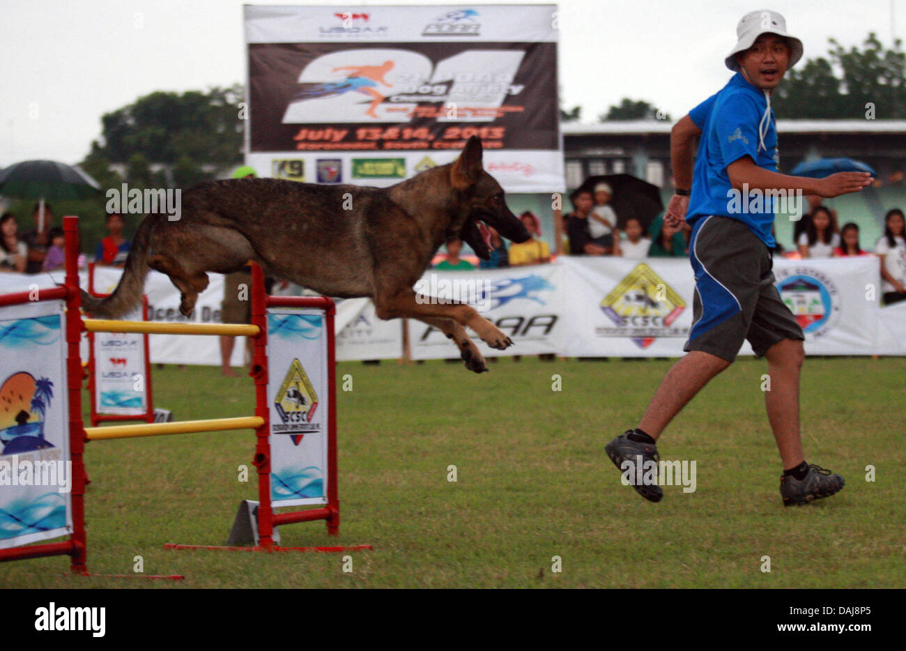 Jul 13, 2013 - Koronadal, Filippine - un cane prende parte alla XXI Filippine cane associazione atletica campionati di agilità nel sud della città filippina di Koronadal. (Credito Immagine: © Jef Maitem/ZUMAPRESS.com) Foto Stock