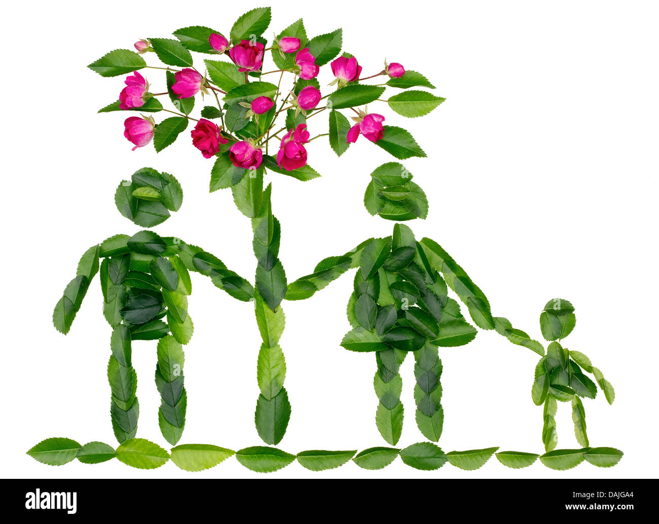 Mondo verde, la famiglia e l amore concetto. Isolate i bambini il collage dalle foglie fresche e boccioli di rosa Foto Stock