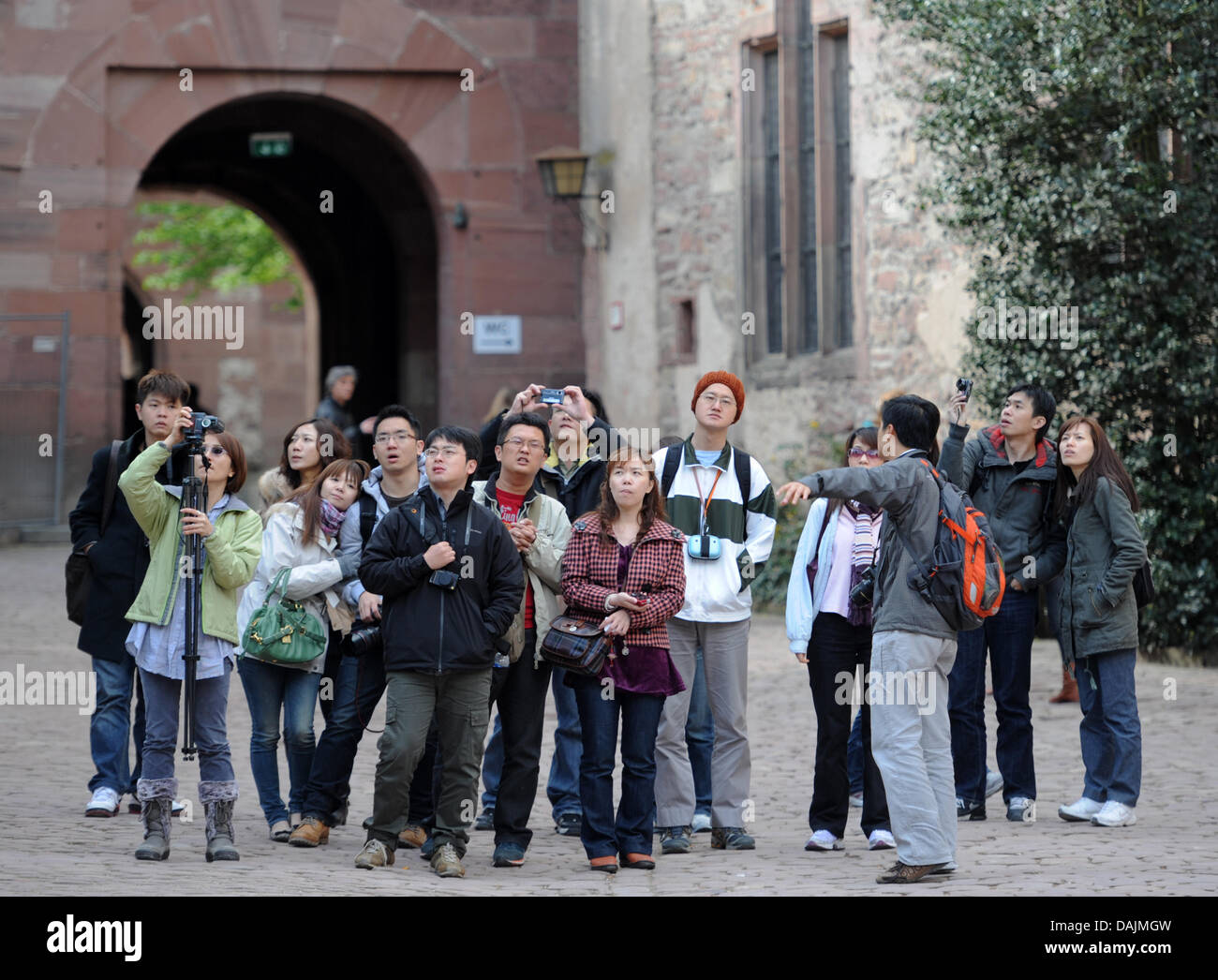Un gruppo di turisti asiatici visitare Heidelberg Palace a Heidelberg, Germania, 13 aprile 2011. Foto: Ronald Wittek Foto Stock