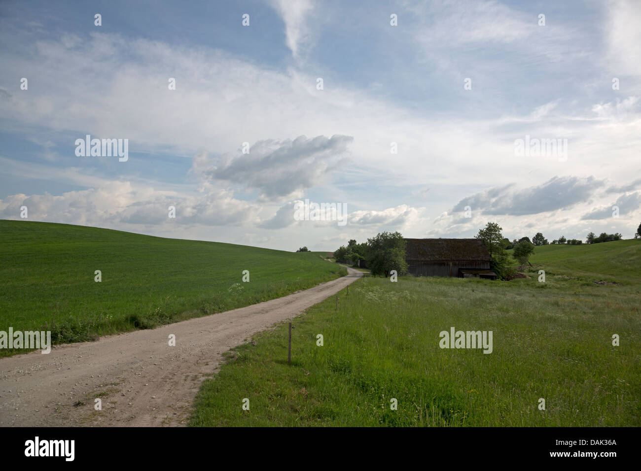 Country Road in Fialki vicino Gorzno, Polonia Foto Stock