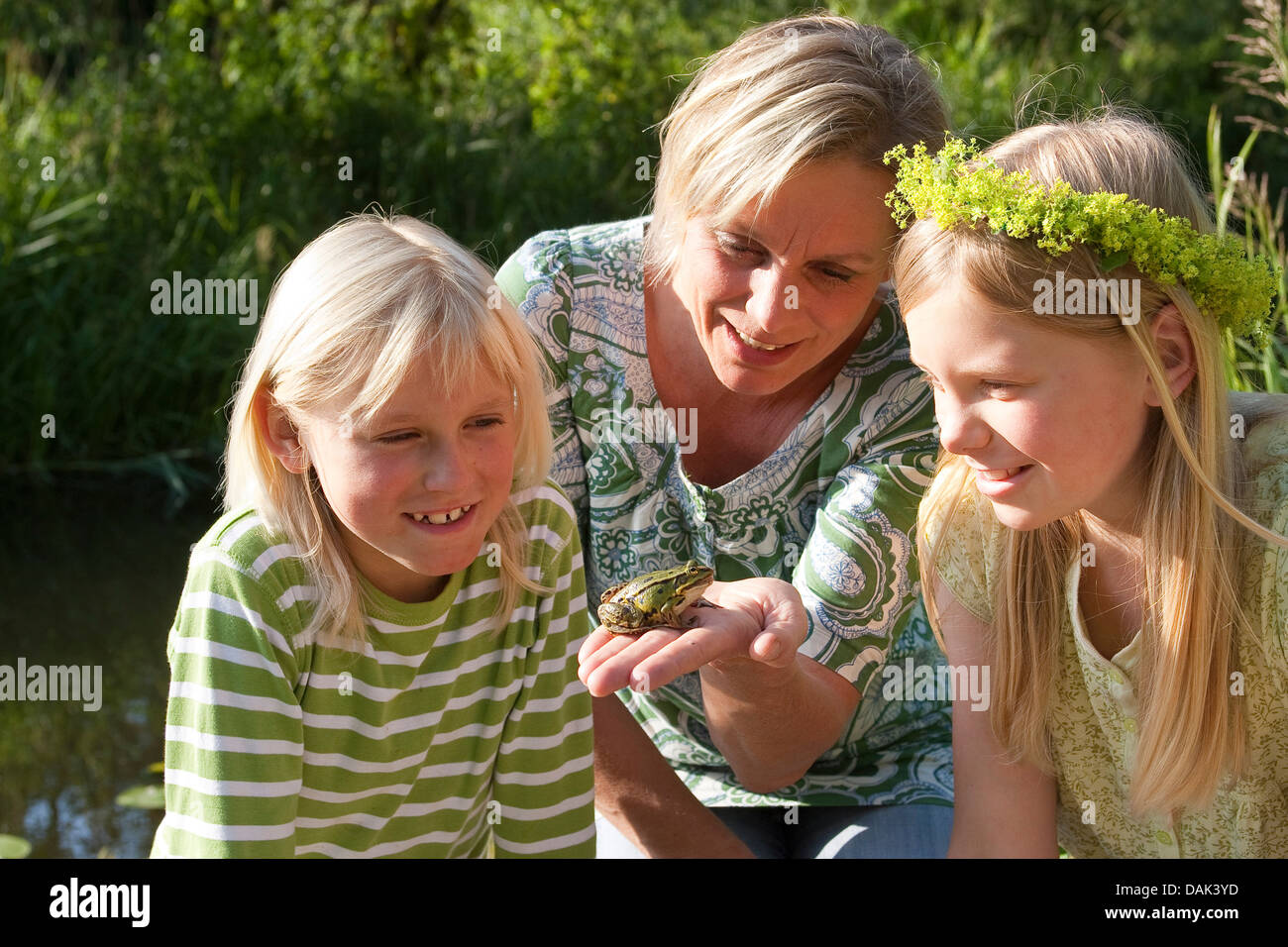 Unione rana verde, comune rana verde (Rana kl. esculenta, Rana esculenta, Pelophylax esculentus), madre mostra una rana per i suoi figli, Germania Foto Stock