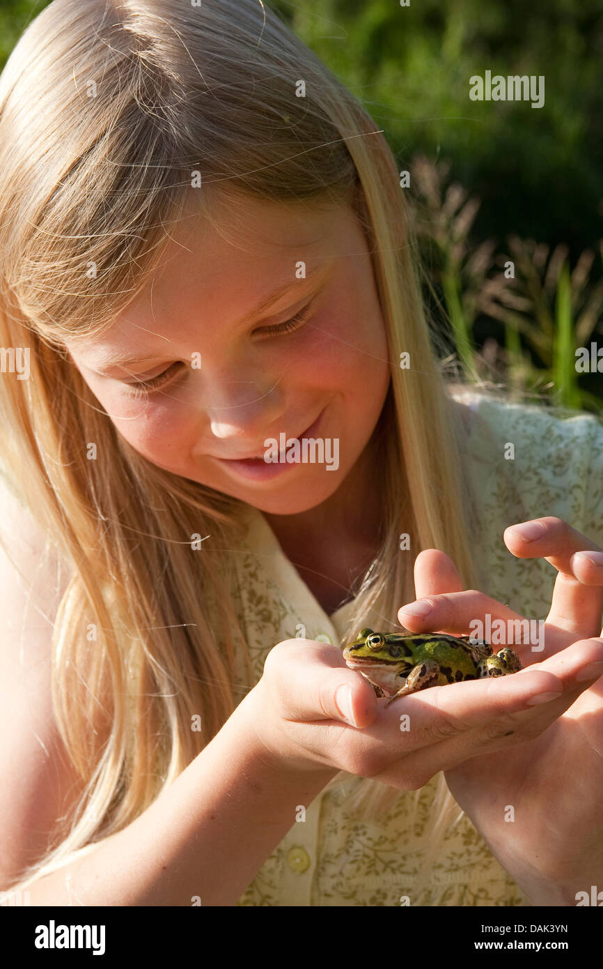 Unione rana verde, comune rana verde (Rana kl. esculenta, Rana esculenta, Pelophylax esculentus), ragazza accarezzare una rana in mano, Germania Foto Stock