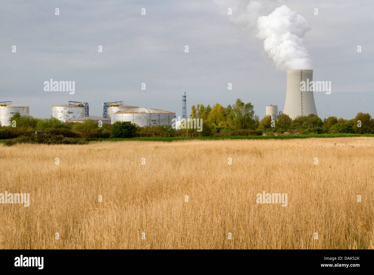 Prato di fronte paesaggio industriale, Germania, Mecklenburg Vorpommern, Peez, Rostock Foto Stock