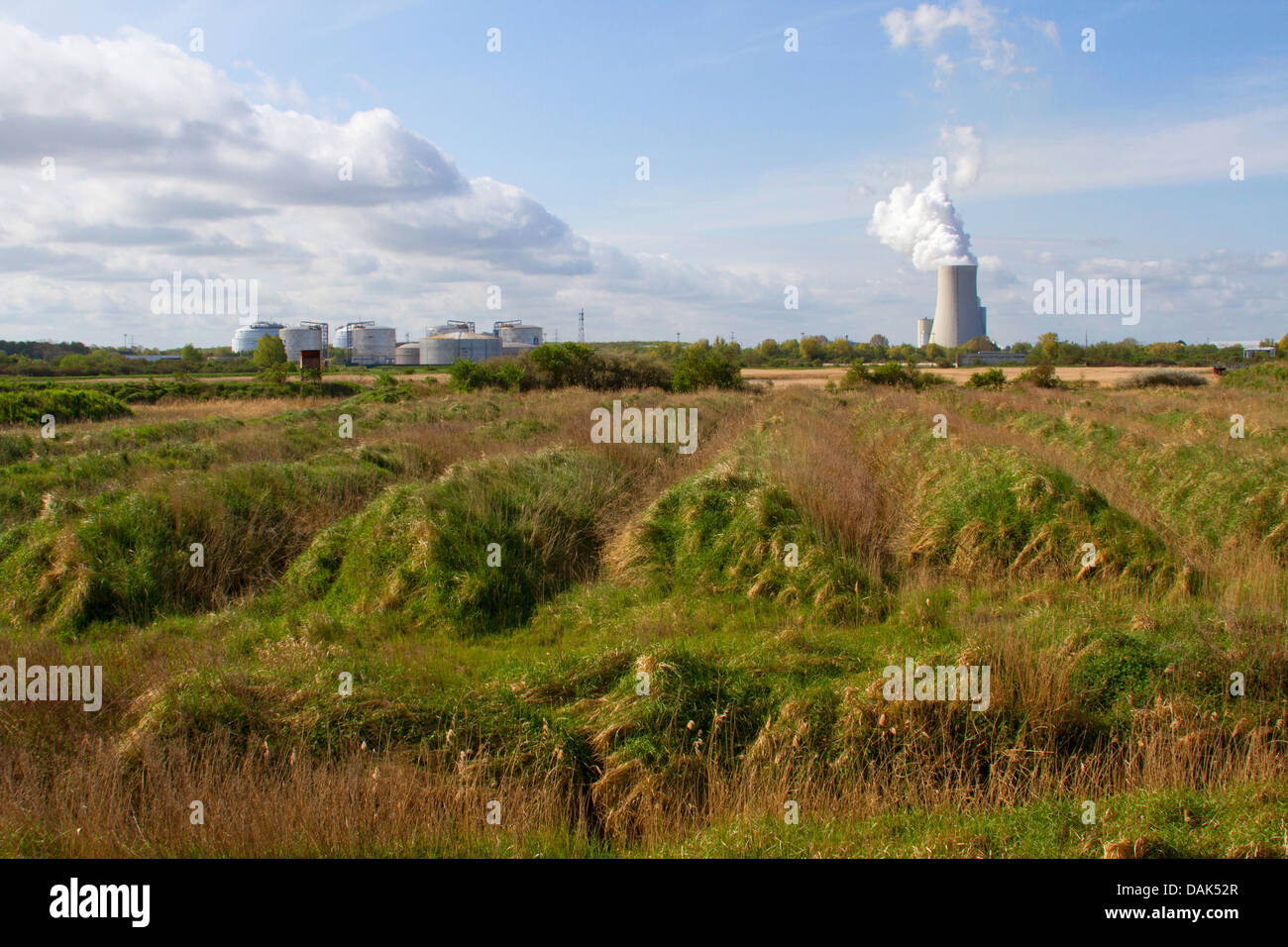 Conservazione aerea con paesaggio industriale in background, Germania, Mecklenburg Vorpommern, Peez, Rostock Foto Stock