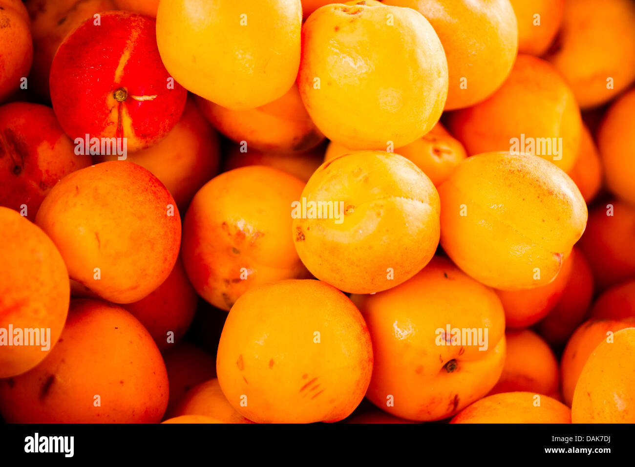 Prodotti freschi presso il locale mercato agricolo. Foto Stock