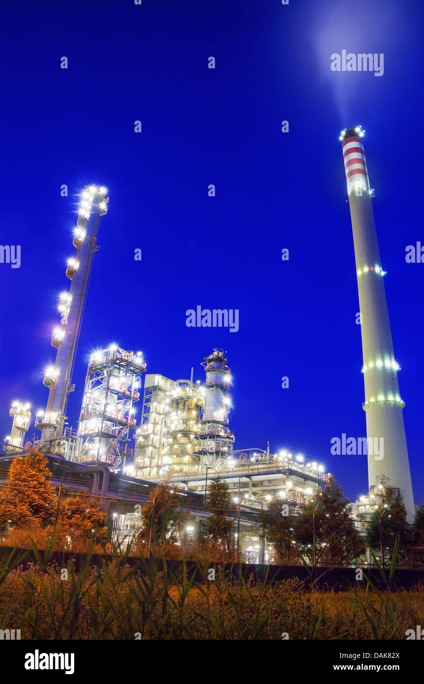 Stabilimento industriale di notte. Raffineria di Muskiz, Paesi Baschi Foto Stock