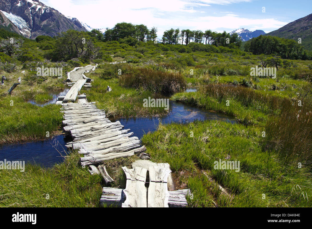 Saliti il sentiero attraverso la brughiera di seguito Fitz Roy vicino campeggio Poincenot, Argentina, Patagonia, Ande, parco nazionale Los Glaciares Foto Stock