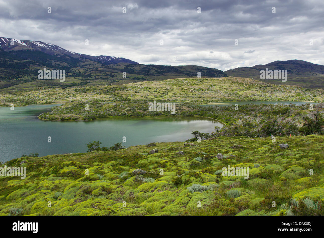 Laguna Alejandra, Cile, Patagonia, parco nazionale Torres del Paine Foto Stock