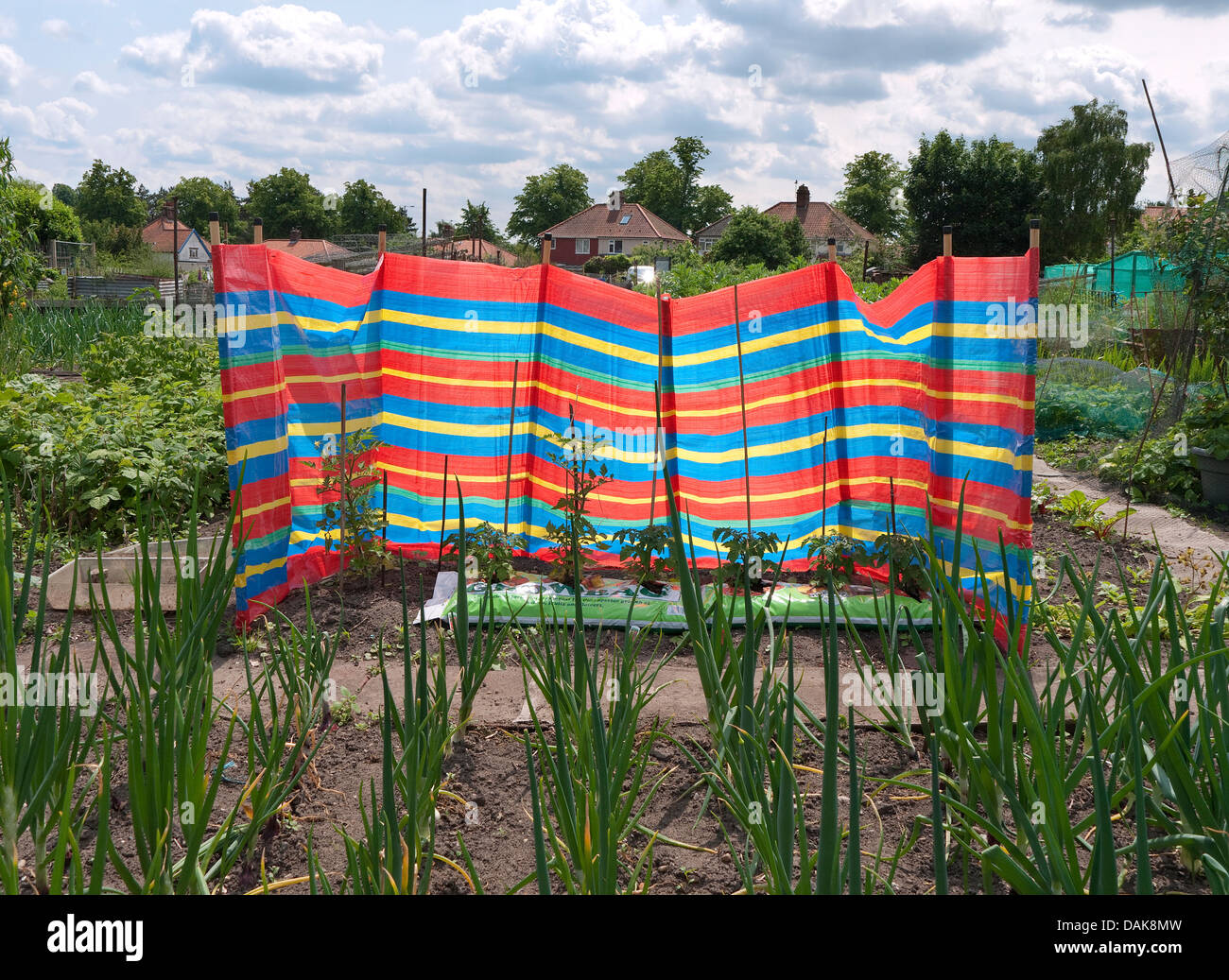 Spiaggia frangivento nelle zone urbane riparto giardino, Norwich, Norfolk, Inghilterra Foto Stock