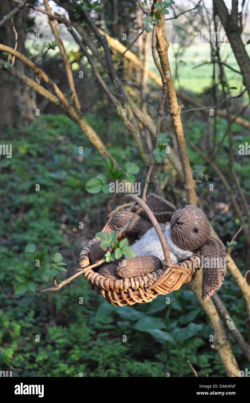 Maglia coniglio Bunny Toy appesa in un cesto su un albero nel bosco Foto Stock