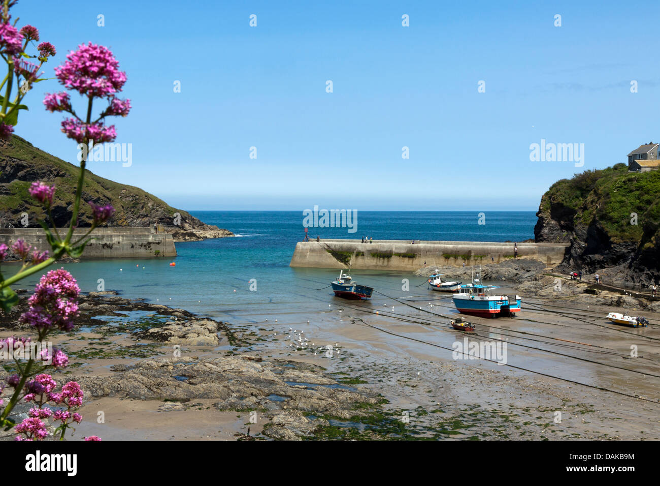 Pittoresca baia del villaggio di pescatori di Port Isaac in Cornovaglia Foto Stock