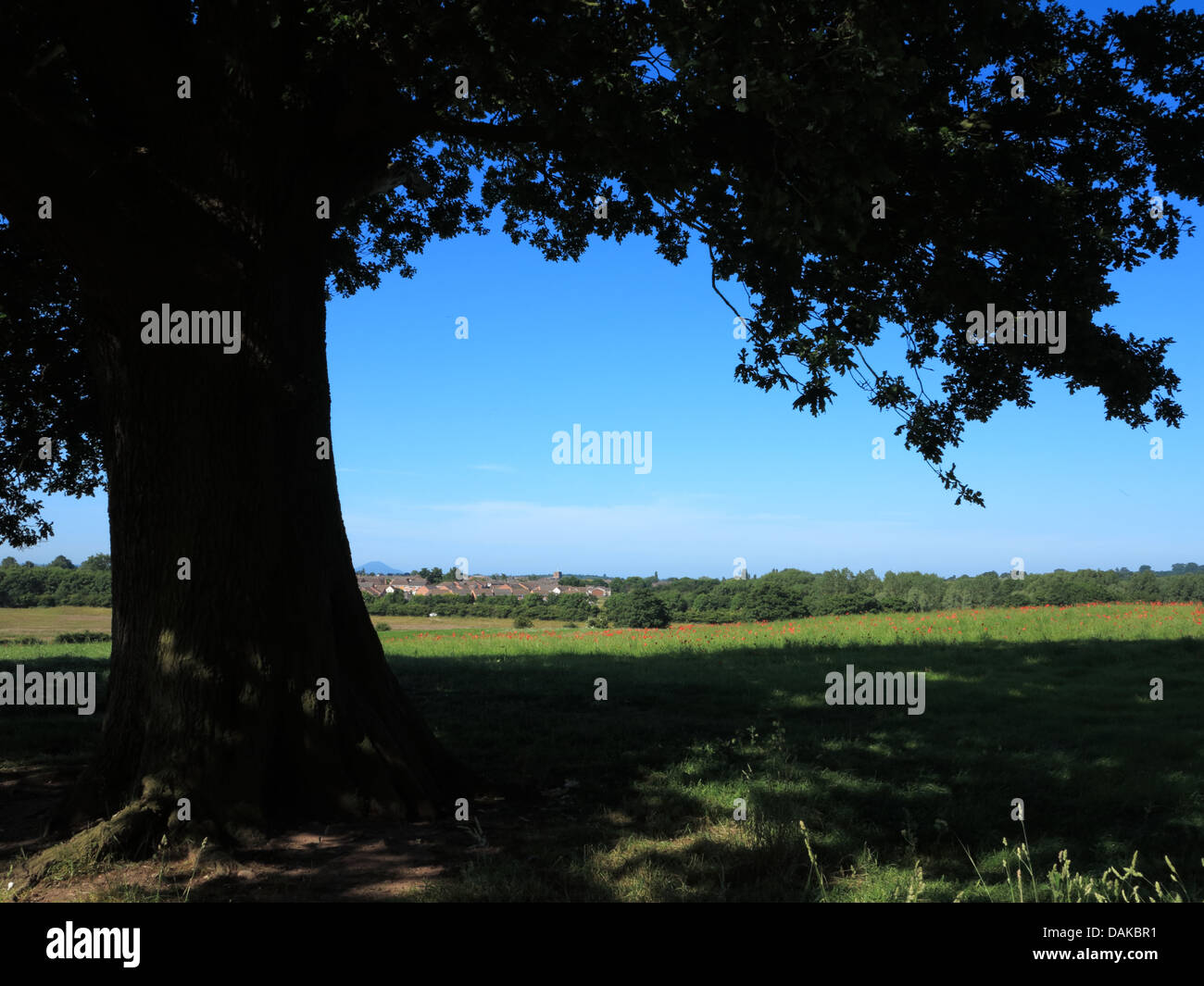 Cerca SW verso Newport Shropshire dalla Banca Walkley Foto Stock