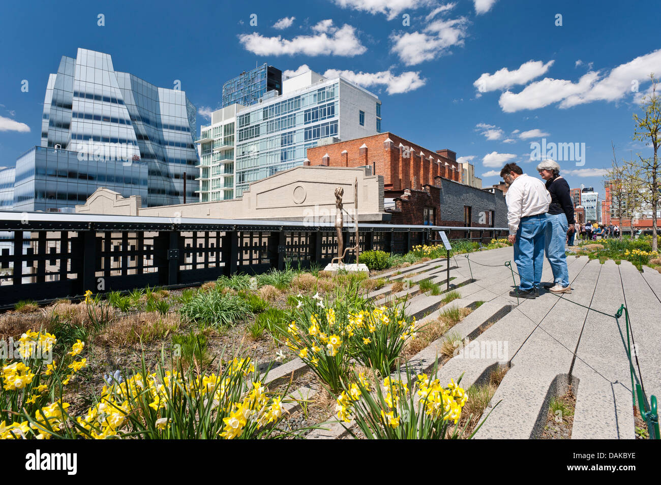 High Line New York City IAC Building di Frank Gehry architettura Manhattan Chelsea New York High Line Park Foto Stock