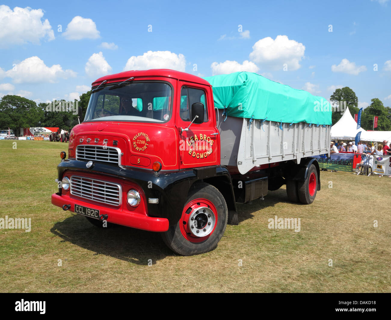 Newport Visualizza, Chetwynd Deer Park, Newport Shropshire Foto Stock