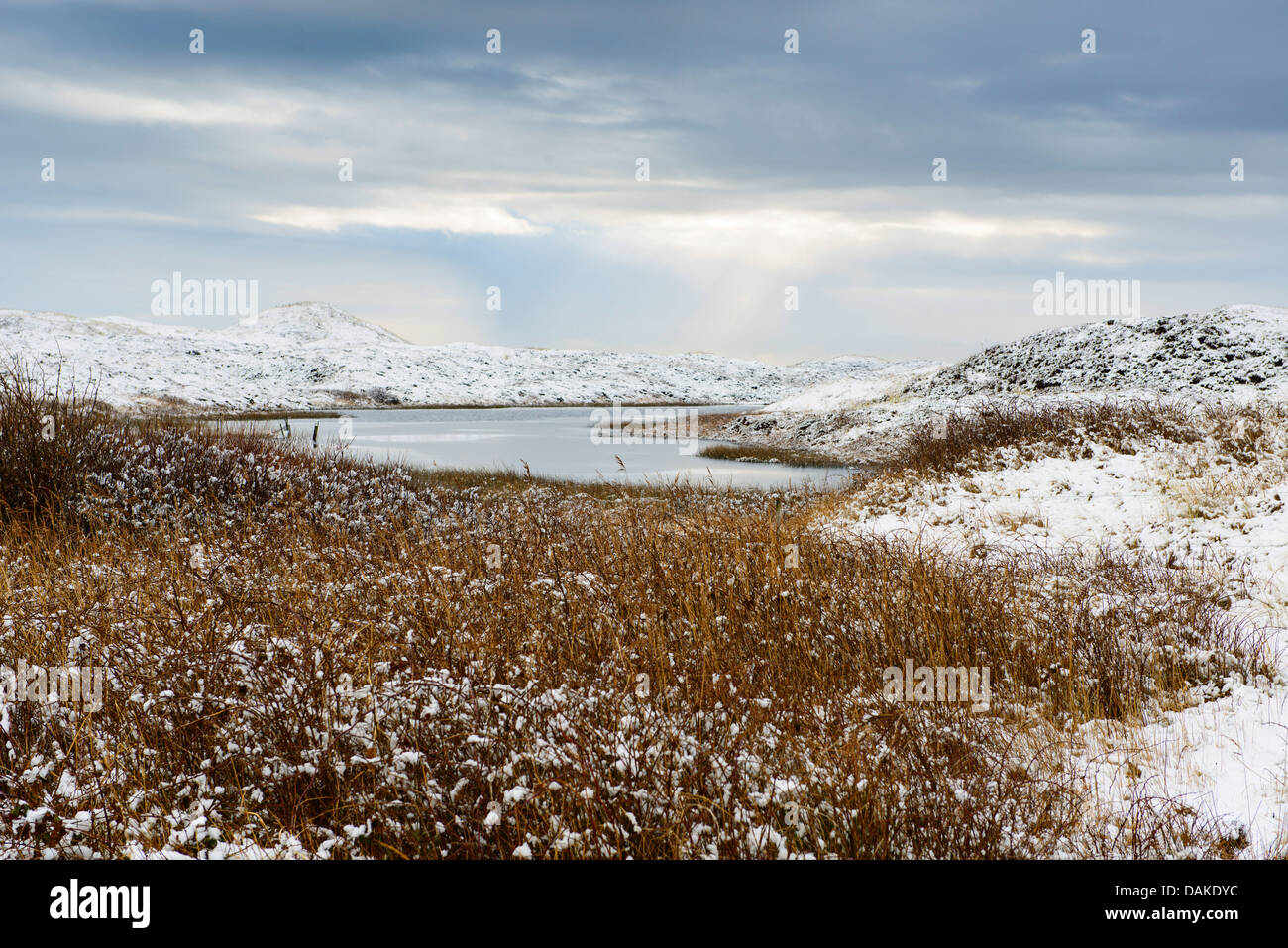 Lago innevato paesaggio di dune, Paesi Bassi, Texel Foto Stock