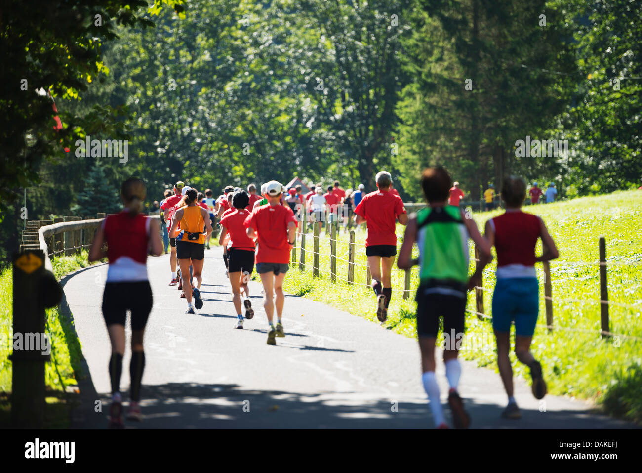 Europa, alpi svizzere, Svizzera Oberland Bernese, Unesco Jungfrau marathon Foto Stock