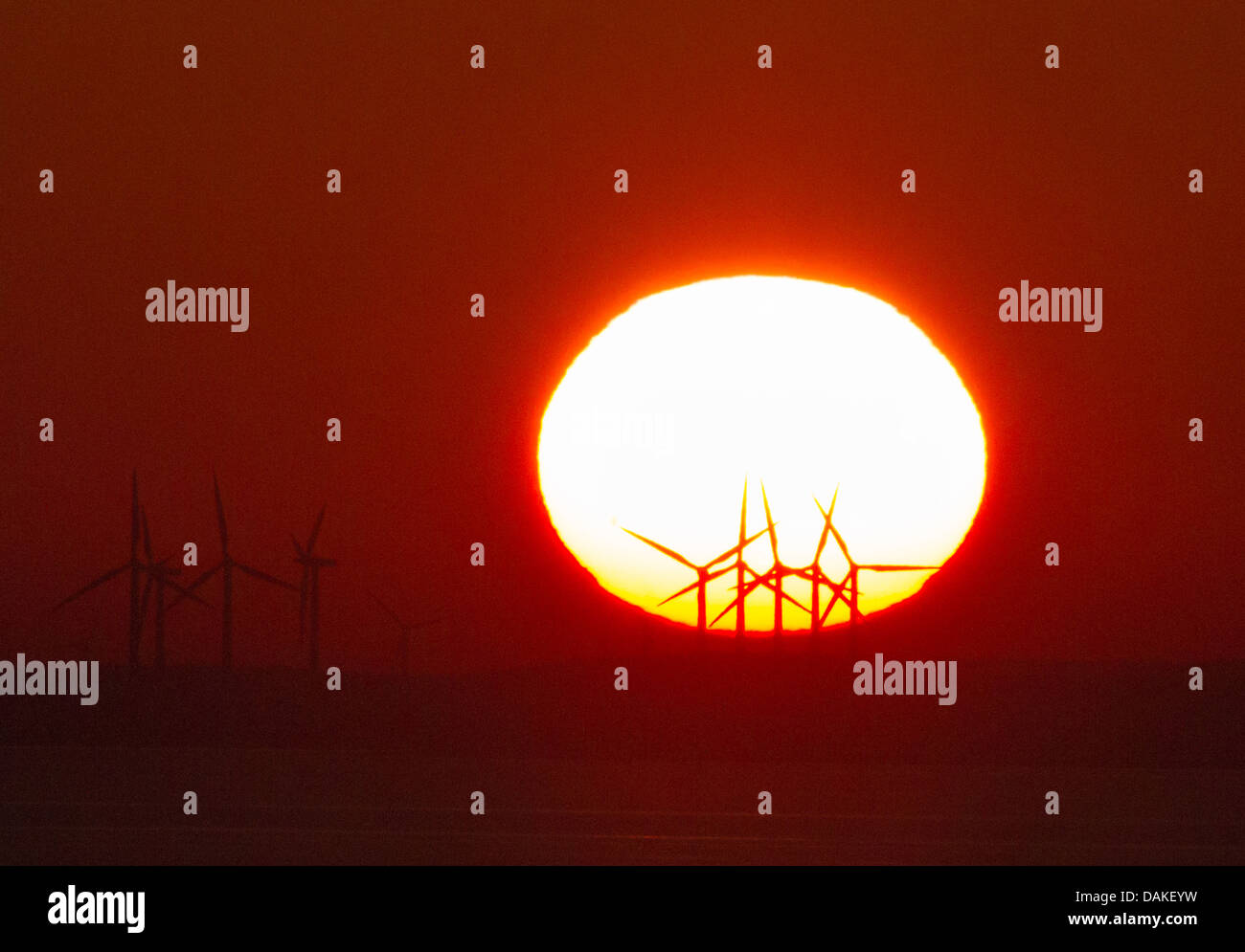 Mulini a vento nel sole di mattina , Danimarca, Lolland, Grosser cinghia Foto Stock