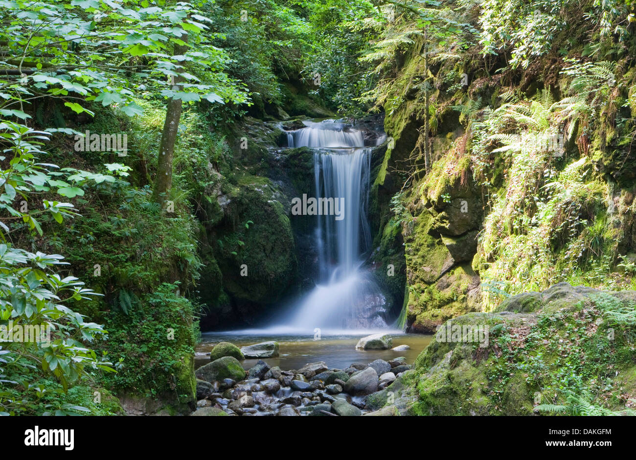 Geologiche monumento naturale Geroldsau cascata, GERMANIA Baden-Wuerttemberg, Baden-Baden Foto Stock