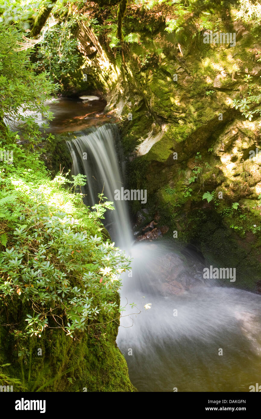 Geologiche monumento naturale Geroldsau cascata, GERMANIA Baden-Wuerttemberg, Baden-Baden Foto Stock