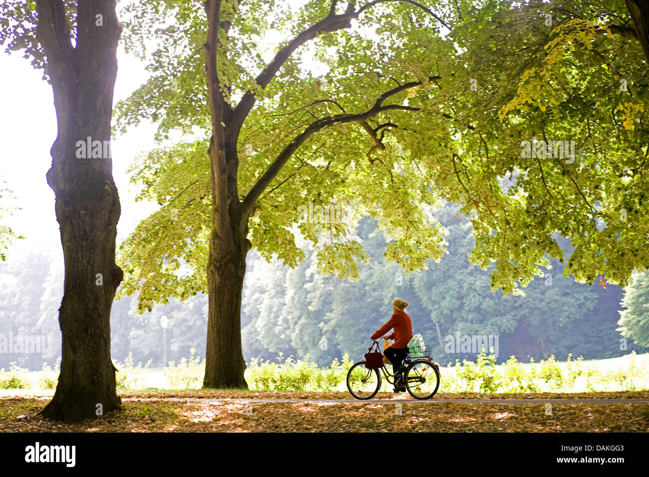 Biker autunnali sulla Lichtentaler Allee, GERMANIA Baden-Wuerttemberg, Baden-Baden Foto Stock