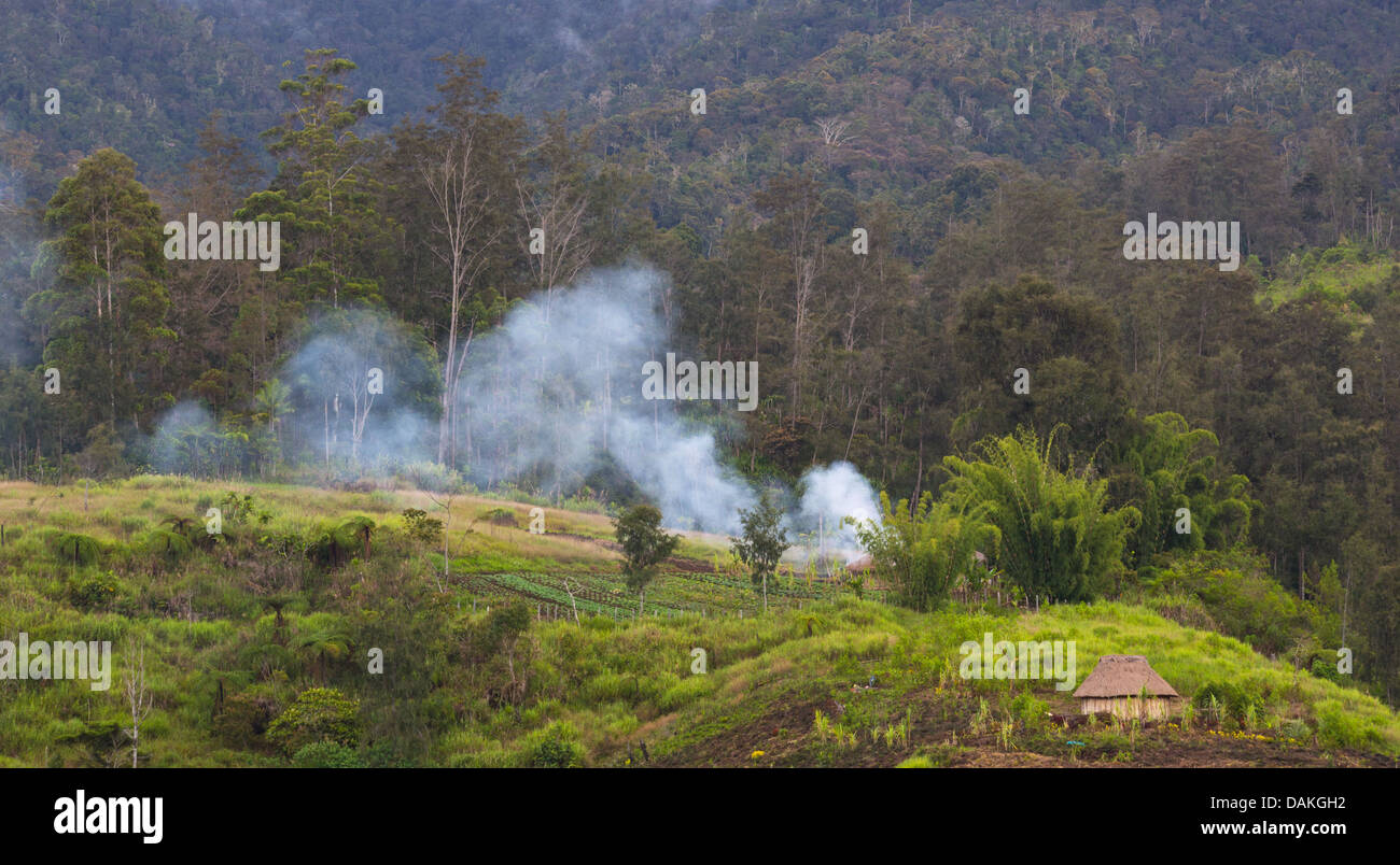 Le case tradizionali e giardini sul pendio di una collina nella parte orientale della provincia delle Highlands, Papua Nuova Guinea Foto Stock