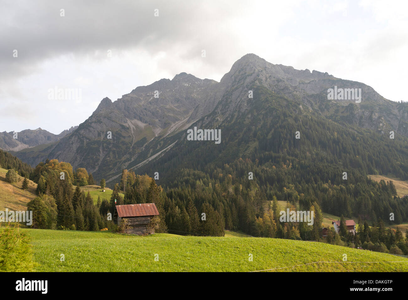 Vista sul bosco e pascolo alpino del paesaggio in tutta Kleinwalsertal, Austria Vorarlberg, Mittelberg Foto Stock