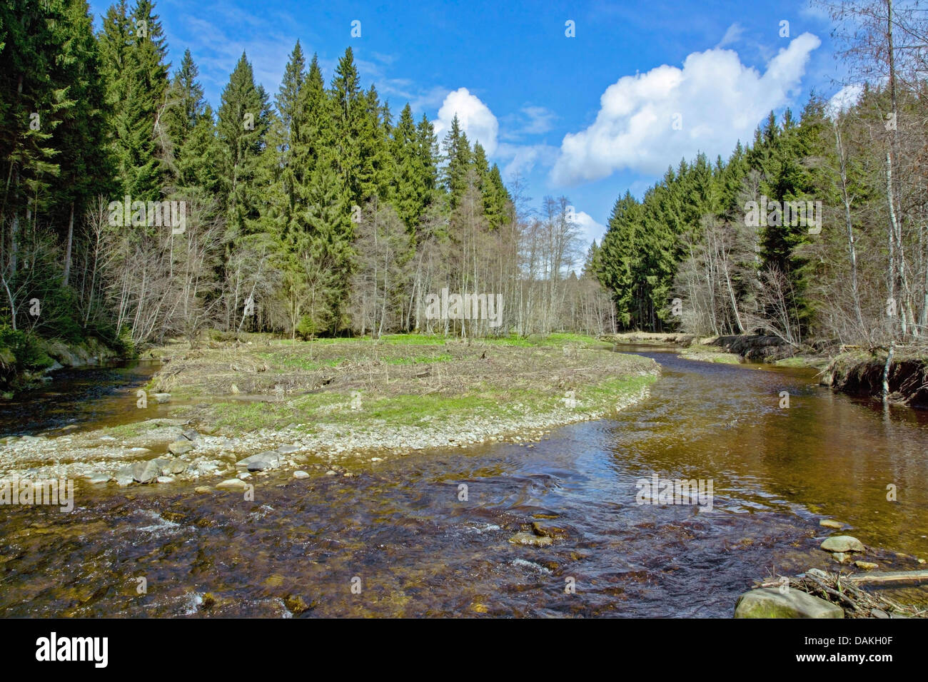 Fiume Ach vicino al Staffelsee a Murnau foreland alpino, in Germania, in Baviera, Alta Baviera, Baviera superiore Foto Stock