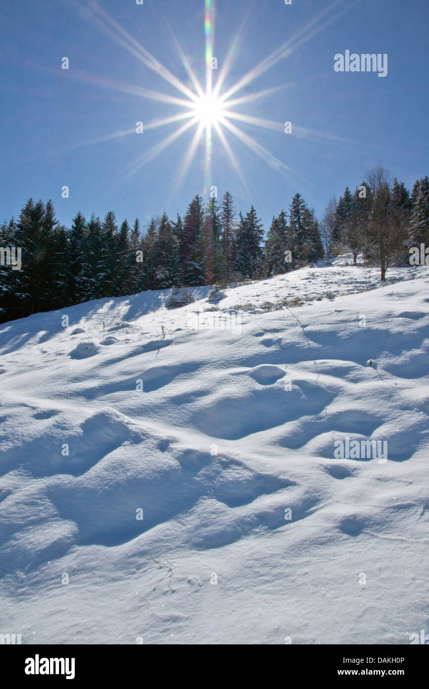 Cielo blu chiaro sulla coperta di neve bosco e prato paesaggio, in Germania, in Baviera, Alta Baviera, Baviera superiore Foto Stock
