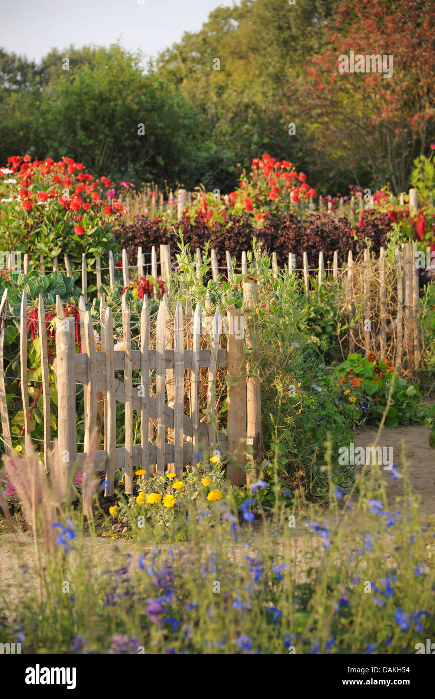 Garden gate di un giardino rurale, Germania Foto Stock