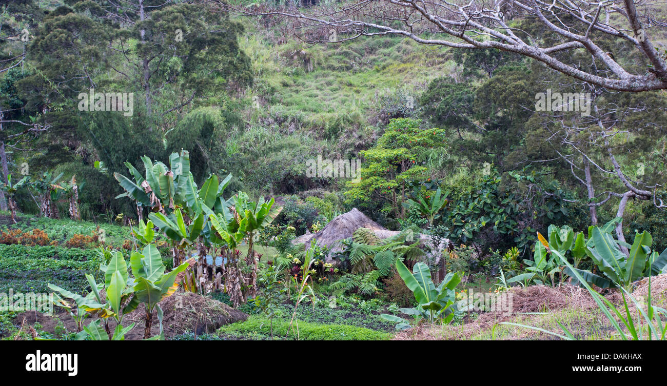 Casa Tradizionale e giardino in Papua Nuova Guinea highlands Foto Stock
