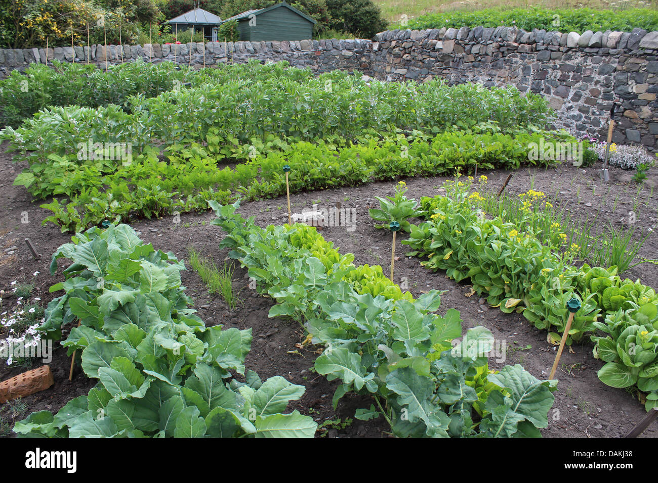 Come funziona il vostro giardino di crescere? Foto Stock