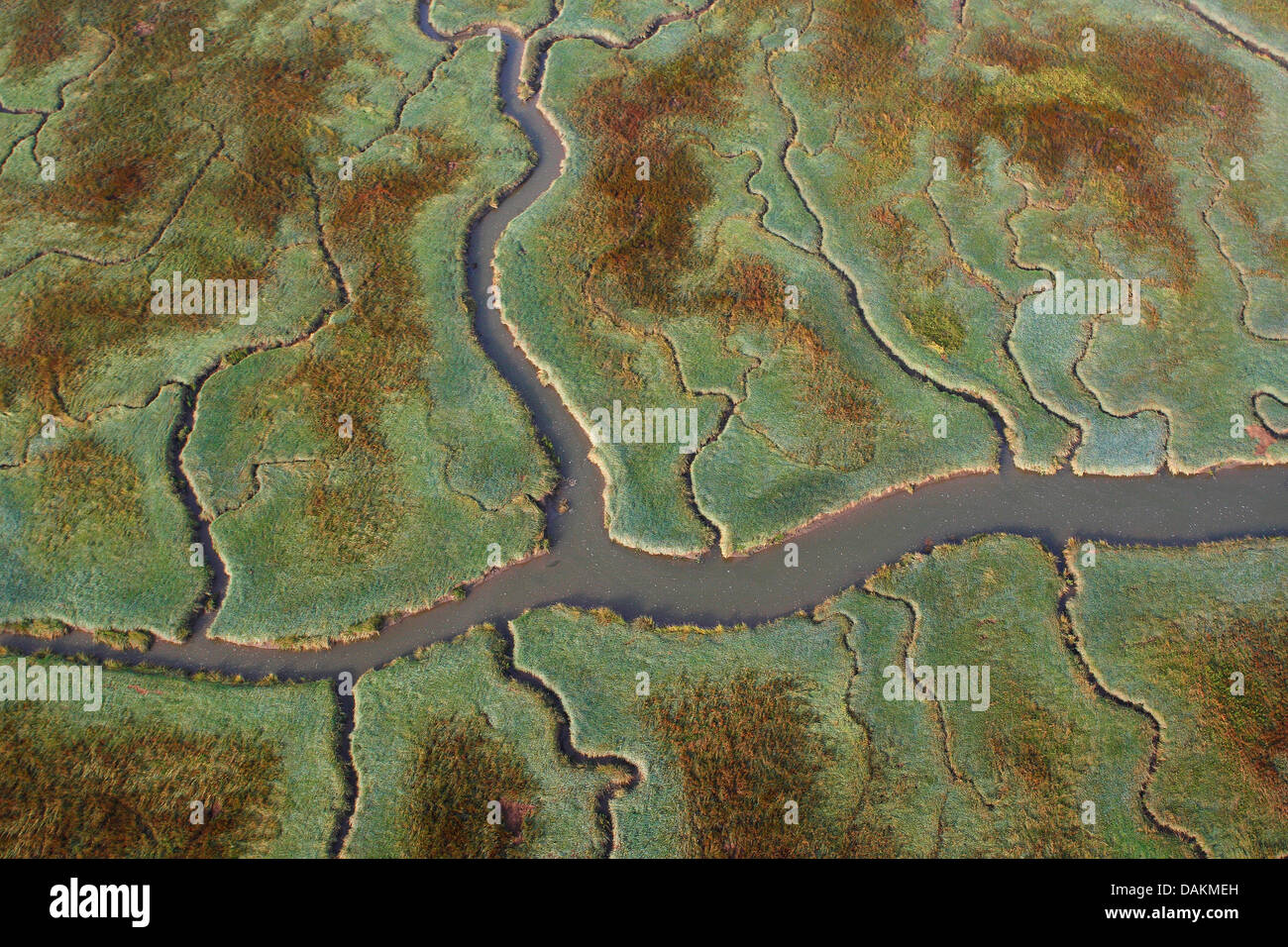 Vista aerea di ramificato paesaggio fluviale Verdronken Land van Saeftinghe, Paesi Bassi, Zeeuws-Vlaanderen, Verdronken Land van Saeftinghe Foto Stock