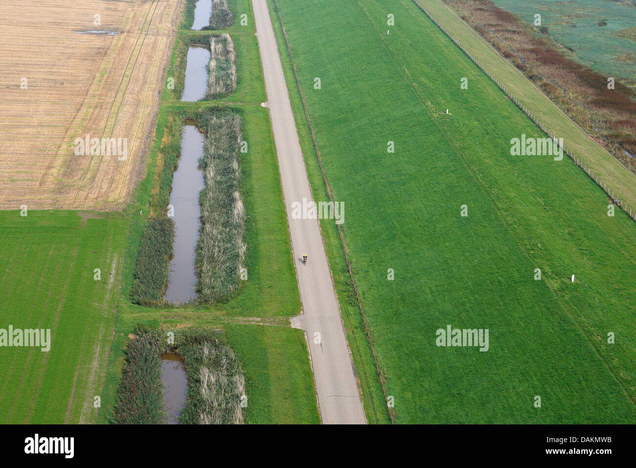 Vista aerea di dyke e strada di Hedwigepolder, Paesi Bassi, Zeeuws Vlaanderen, Verdronken Land van Saeftinghe Foto Stock