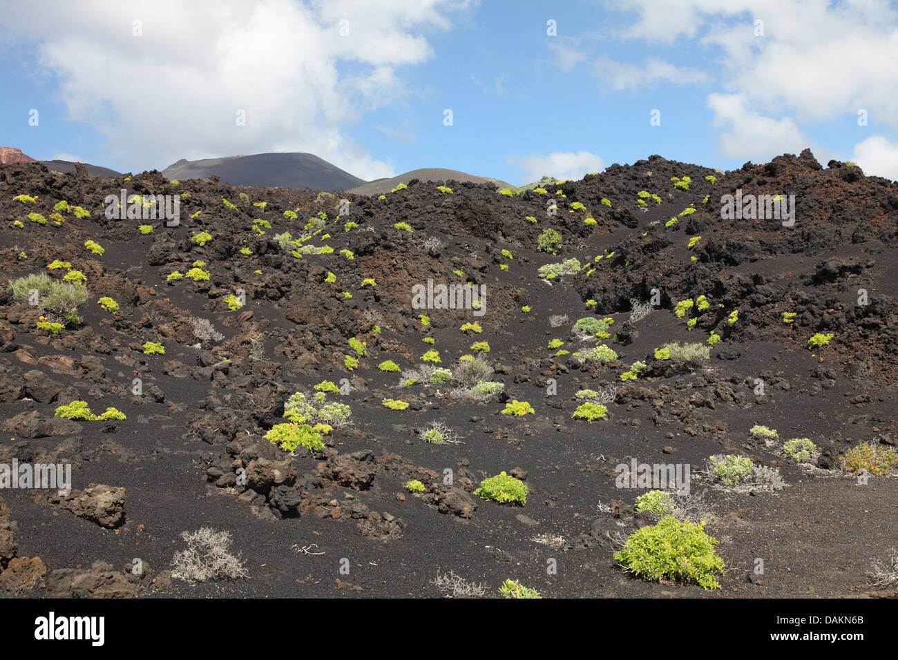 Campo di lava a Punta de Fuencaliente, Isole Canarie La Palma, Fulicaliente Foto Stock