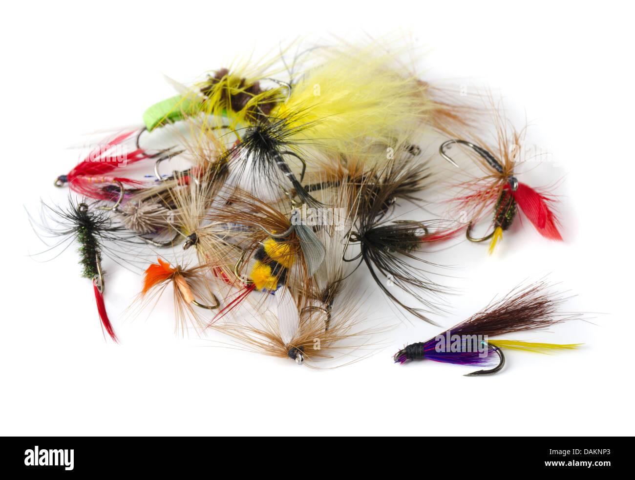 Varie fly fishing lures - ninfe, mosche secche e streamers isolato su bianco Foto Stock