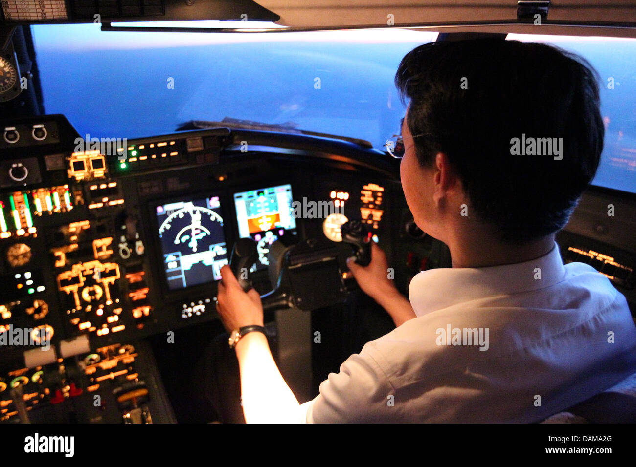 Economia federale Ministro Philipp Roesler siede all'interno del pozzetto della sfida della Bundeswehr aerei militari sul sedile del copilota durante il suo volo di ritorno da Mosca a Berlino, 31 maggio 2011. Roesler, in possesso di una licenza di pilota di parapendio e deltaplano a motore, è estremamente interessato a volare. Il Ministro dell'economia Roesler era su una visita di un giorno a Mosca e il russo di Fede Foto Stock