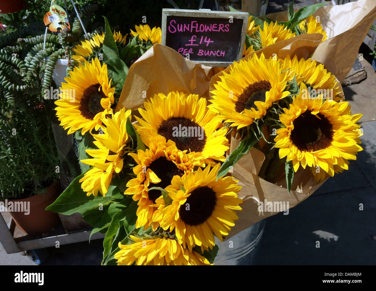 Vendita di fiori a londra immagini e fotografie stock ad alta risoluzione -  Alamy