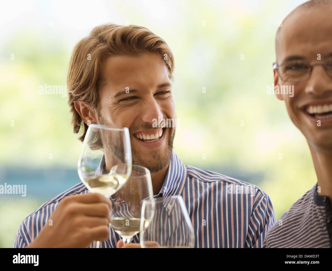 Gli uomini di bere vino insieme al chiuso Foto Stock