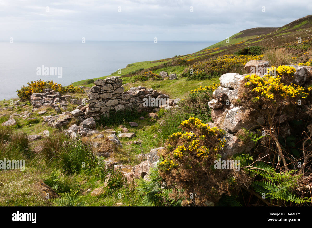 Rovine di un cotage sul clifftops a Badbea, un villaggio abbandonato sulla costa est di Caithness in Scozia Foto Stock