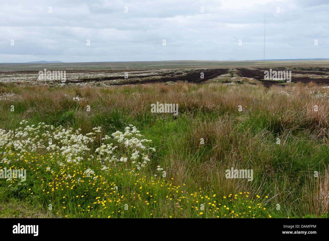 Il flusso scozzese paese a sud di Thurso, Caithness. Foto Stock