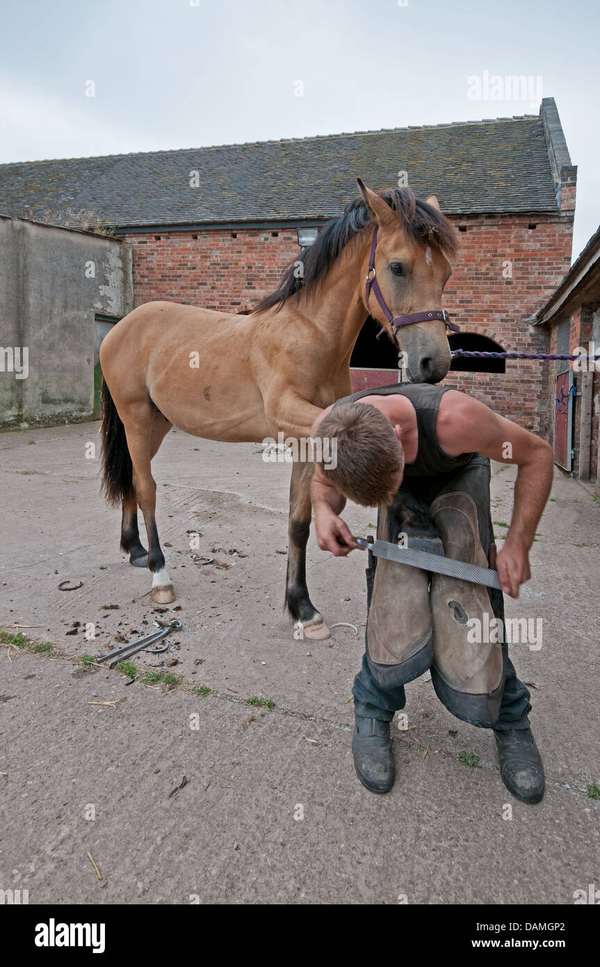 Uomo maschio maniscalco lavorando su zoccolo del cavallo per pulire il rivestimento e file in cantiere stabile di quercia Farm Alrewas Staffordshire Inghilterra Foto Stock