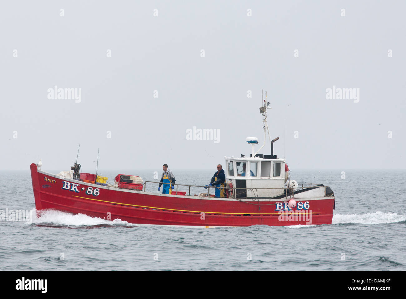 Barche da pesca con le aragoste e i granchi a Seahouses Northumberland, Inghilterra -2013 Foto Stock