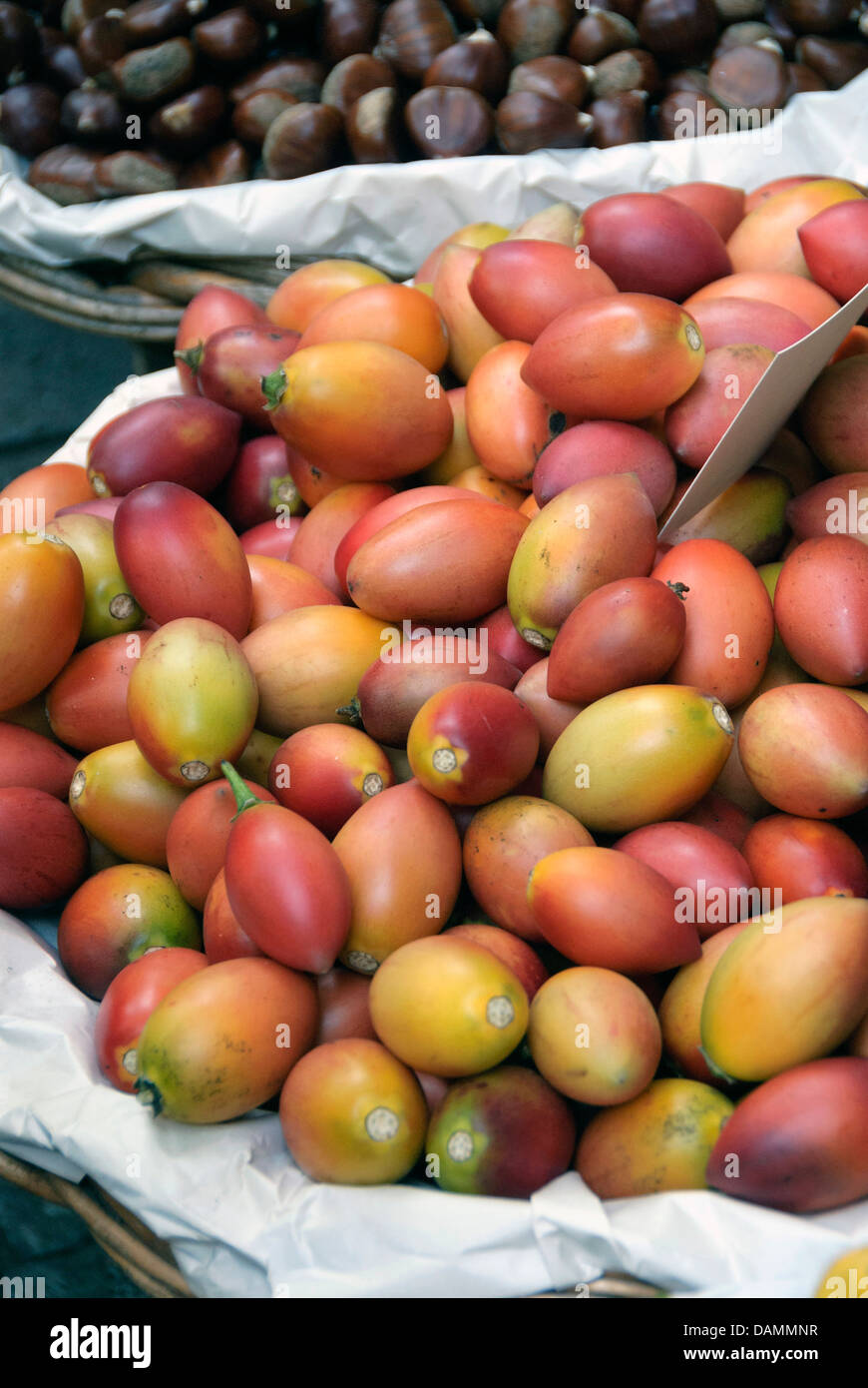 Albero di pomodoro, Tamarillo, Tomate de rbol (Cyphomandra betacea, Cyphomandra crassicaulis), albero i pomodori in un piatto Foto Stock