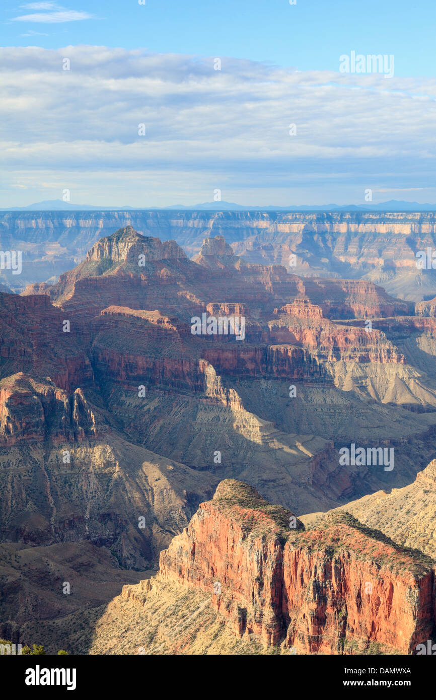 Stati Uniti d'America, Arizona Grand Canyon National Park, North Rim, Bright Angel Point Foto Stock