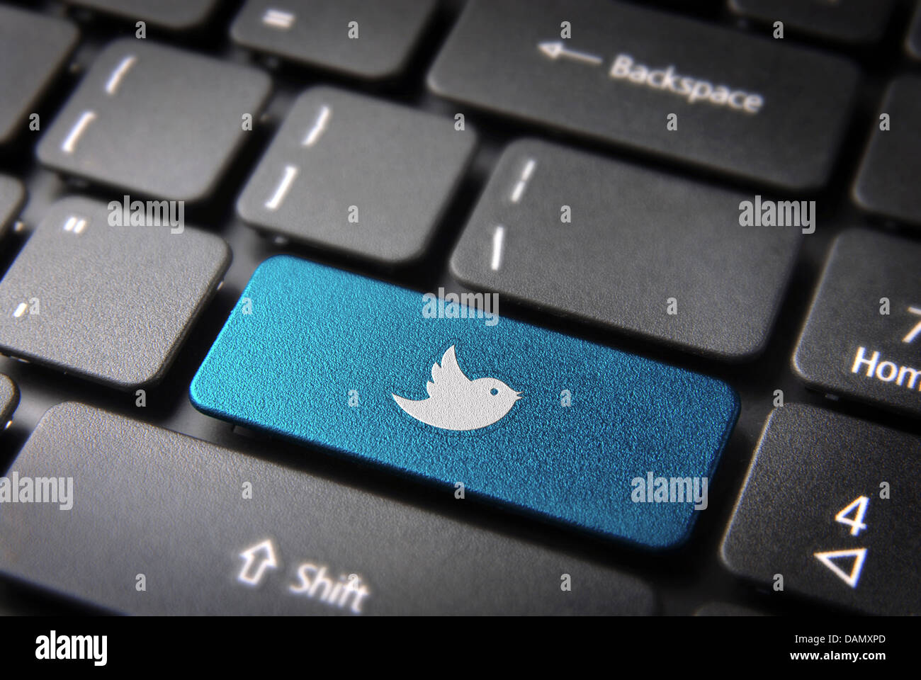Socialmedia chiave con twitter bird icona sulla tastiera del notebook. Incluso percorso di clipping, così puoi modificare facilmente. Foto Stock