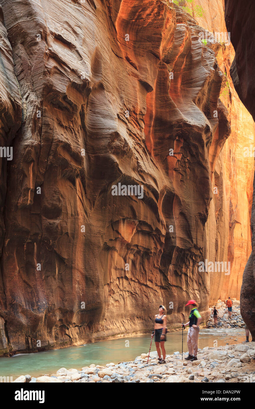 Stati Uniti d'America, Utah, Zion National Park, la si restringe, escursionista all'interno del canyon Foto Stock