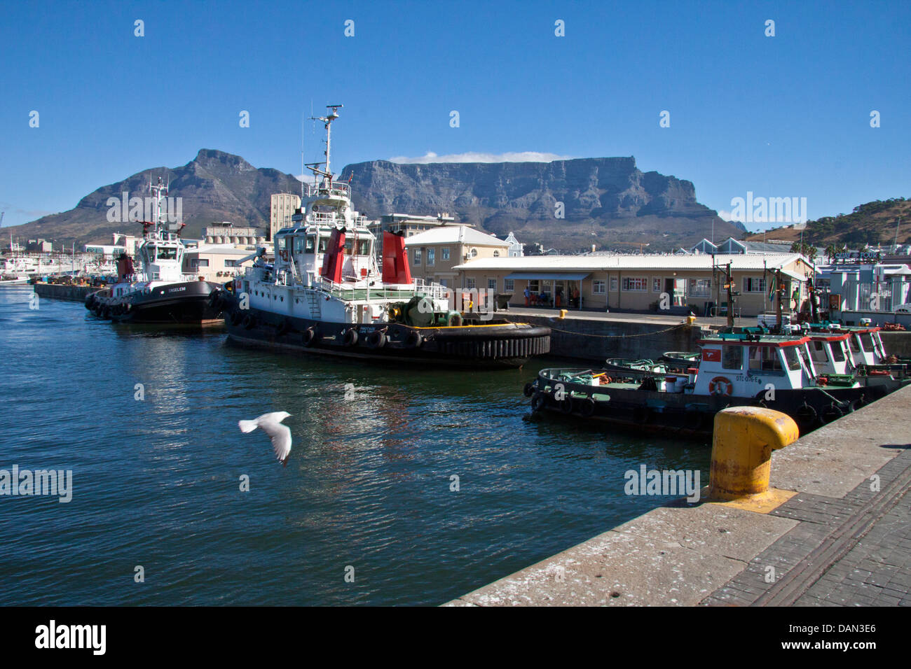 Città del Capo e di table mountain, sud africa Foto Stock