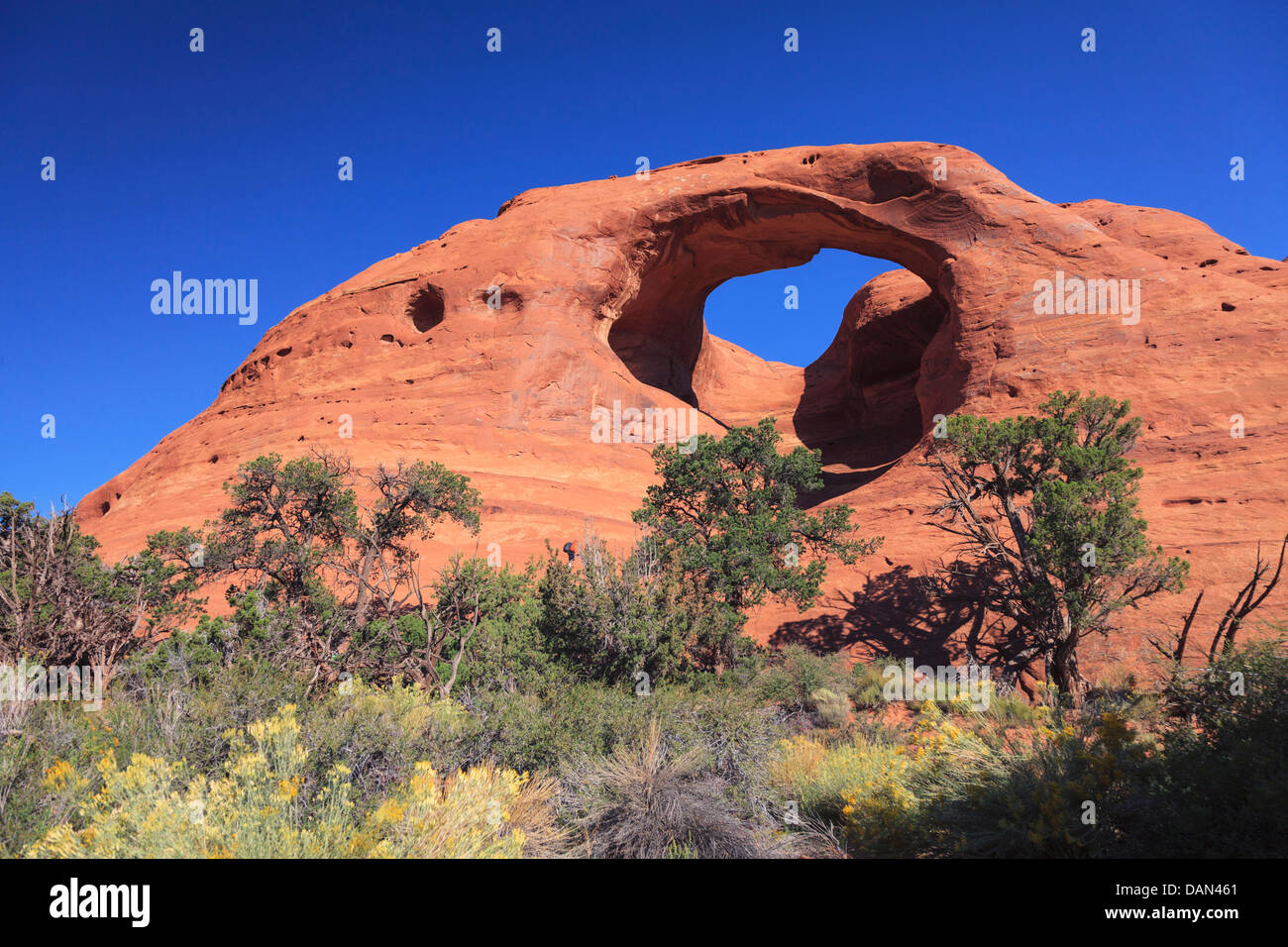 Stati Uniti d'America, Arizona Monument Valley, doppia arcata Foto Stock